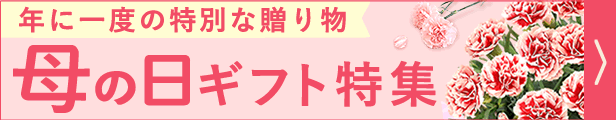 616120_hoshiimo_k.gif
