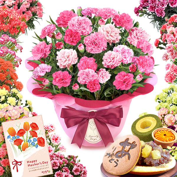 お花とスイーツセットのカテゴリ画像