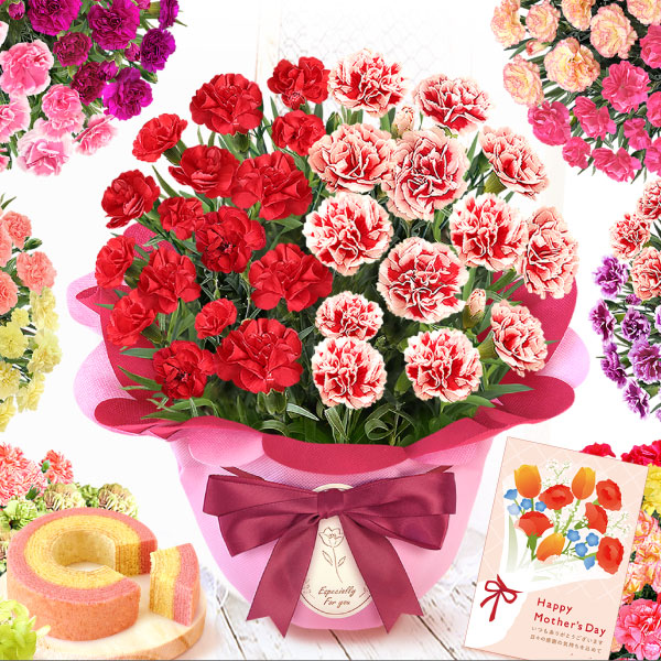 カーネーションのカテゴリ画像