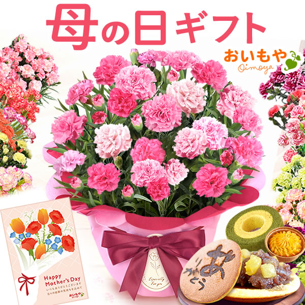 /carnation_kago01.jpg
