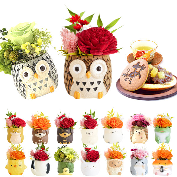 アニマルキャラクターのカテゴリ画像（仮）