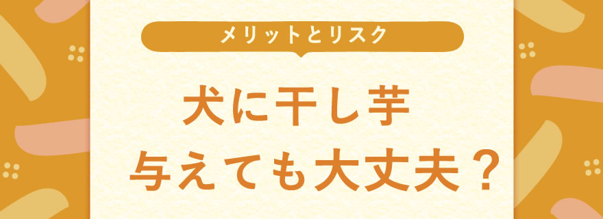 犬に干し芋を与えても大丈夫？得られる「栄養メリット」と「物理的リスク」