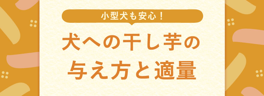 小型犬も安心！犬への干し芋の「正しい与え方」と「適量」
