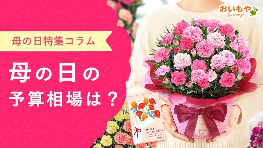 母の日の予算相場はいくら？金額別のおすすめギフトと選び方のコツ