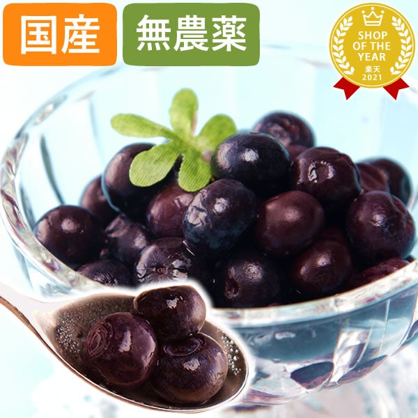 ひんやりブルーベリー (600g) 【ギフト プレゼント スイーツ フルーツ 冷凍フルーツ ブルーベリー 冷凍ブルーベリー アイス デザート フローズン シャーベット 夏 国産 静岡産 ひんやりスイーツ かき氷にも】