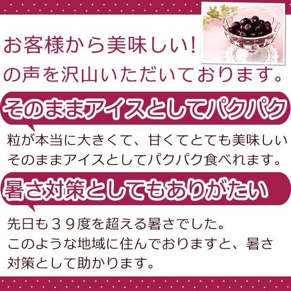 ひんやりブルーベリー (600g) 【ギフト プレゼント スイーツ フルーツ 冷凍フルーツ ブルーベリー 冷凍ブルーベリー アイス デザート フローズン シャーベット 夏 国産 静岡産 ひんやりスイーツ かき氷にも】