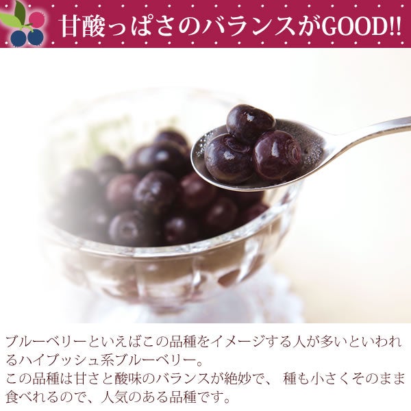 ひんやりブルーベリー (600g) 【ギフト プレゼント スイーツ フルーツ 冷凍フルーツ ブルーベリー 冷凍ブルーベリー アイス デザート フローズン シャーベット 夏 国産 静岡産 ひんやりスイーツ かき氷にも】