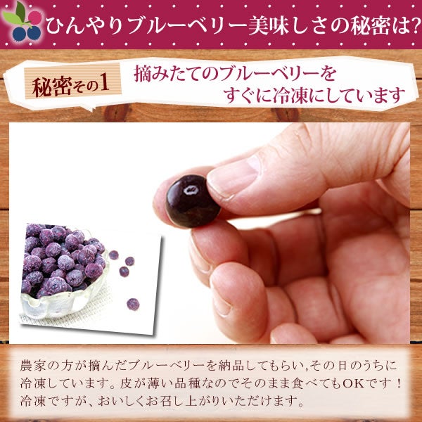 ひんやりブルーベリー (600g) 【ギフト プレゼント スイーツ フルーツ 冷凍フルーツ ブルーベリー 冷凍ブルーベリー アイス デザート フローズン シャーベット 夏 国産 静岡産 ひんやりスイーツ かき氷にも】