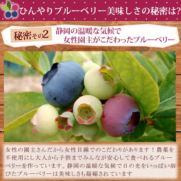 ひんやりブルーベリー (600g) 【ギフト プレゼント スイーツ フルーツ 冷凍フルーツ ブルーベリー 冷凍ブルーベリー アイス デザート フローズン シャーベット 夏 国産 静岡産 ひんやりスイーツ かき氷にも】