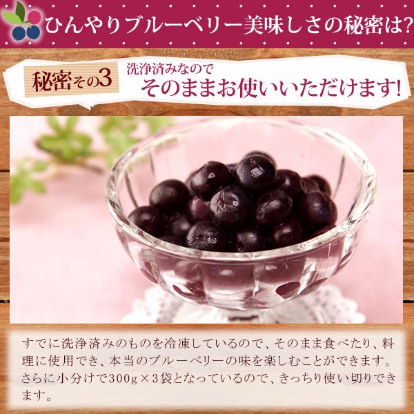 ひんやりブルーベリー (600g) 【ギフト プレゼント スイーツ フルーツ 冷凍フルーツ ブルーベリー 冷凍ブルーベリー アイス デザート フローズン シャーベット 夏 国産 静岡産 ひんやりスイーツ かき氷にも】