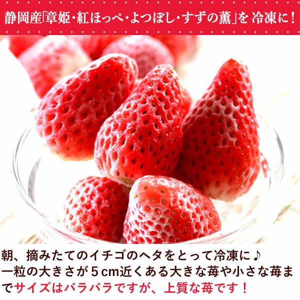 【期間限定】ひんやりストロベリー 1kg 国産 冷凍いちご 冷凍フルーツ 苺 イチゴ 静岡産 紅ほっぺ あきひめ 章姫 ひんやりストロベリー フルーツ スイーツ 国産 冷凍 苺 いちご アイス デザート フローズン 人気 おすすめ おやつ 大容量 夏 おいもや