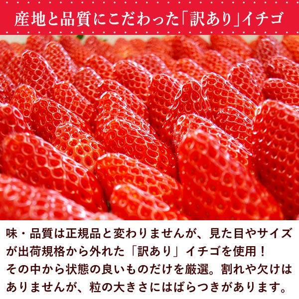 【期間限定】ひんやりストロベリー 500g 国産 冷凍いちご 冷凍フルーツ 苺 イチゴ 静岡産 紅ほっぺ ひんやりストロベリー フルーツ スイーツ 国産 冷凍 苺 いちご アイス デザート フローズン 人気 おすすめ おやつ 大容量 夏 おいもや