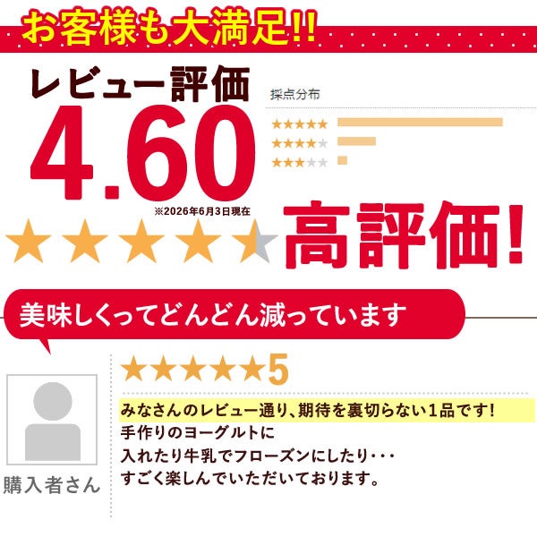 【期間限定】ひんやりストロベリー 500g 国産 冷凍いちご 冷凍フルーツ 苺 イチゴ 静岡産 紅ほっぺ ひんやりストロベリー フルーツ スイーツ 国産 冷凍 苺 いちご アイス デザート フローズン 人気 おすすめ おやつ 大容量 夏 おいもや