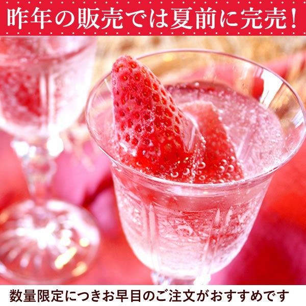 【期間限定】ひんやりストロベリー 1kg 国産 冷凍いちご 冷凍フルーツ 苺 イチゴ 静岡産 紅ほっぺ あきひめ 章姫 ひんやりストロベリー フルーツ スイーツ 国産 冷凍 苺 いちご アイス デザート フローズン 人気 おすすめ おやつ 大容量 夏 おいもや