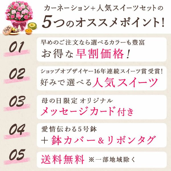 カーネーション(5号)＆選べるお芋どら焼き・林檎スイートポテト・抹茶バウムセット 母の日 プレゼント お花 2025 ギフト 生花 鉢植え 希少 鉢花 カーネーション 5号 どら焼き おしゃれ かわいい 送料無料 スイーツ お菓子 和菓子 一人暮らし クーポン 楽天ランキング1位 セット