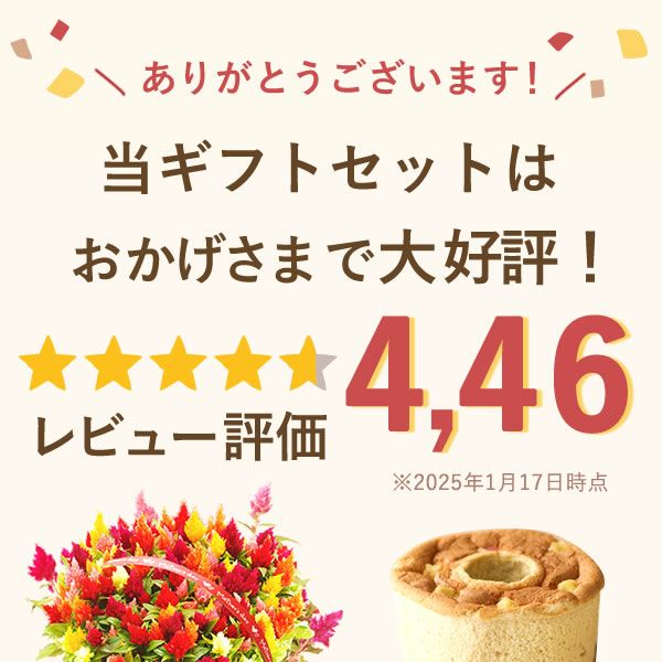 カラフルケイトウ＆シフォンケーキセット 【母の日 プレゼント 花 ギフト ケイトウ シフォンケーキ 鉢花 5号 カラフル 送料無料 スイーツ お菓子 洋菓子 ギフトセット おいもや】