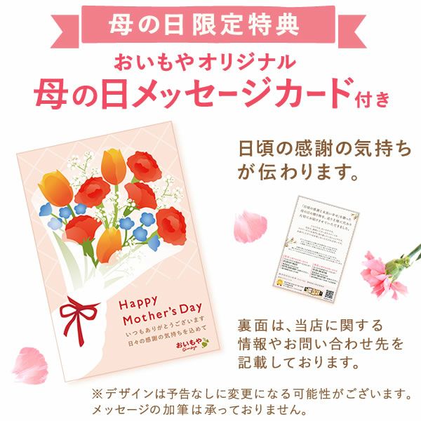 カラフルケイトウ＆シフォンケーキセット 【母の日 プレゼント 花 ギフト ケイトウ シフォンケーキ 鉢花 5号 カラフル 送料無料 スイーツ お菓子 洋菓子 ギフトセット おいもや】