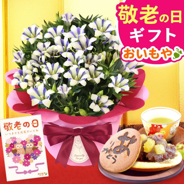 りんどう 5号 敬老の日 プレゼント ギフト 花 りんどう 竜胆 リンドウ 生花 花鉢 孫 秋 送料無料 メッセージカード おいもや