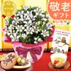 りんどう 5号 敬老の日 プレゼント ギフト 花 りんどう 竜胆 リンドウ 生花 花鉢 孫 秋 送料無料 メッセージカード おいもや