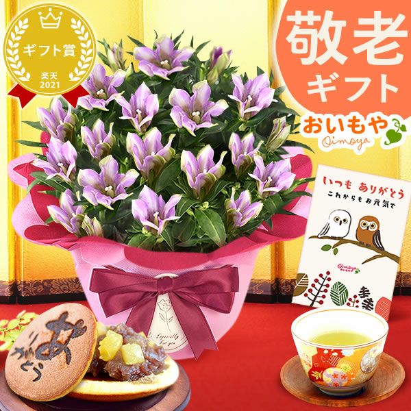 りんどう 5号 敬老の日 プレゼント ギフト 花 りんどう 竜胆 リンドウ 生花 花鉢 孫 秋 送料無料 メッセージカード おいもや