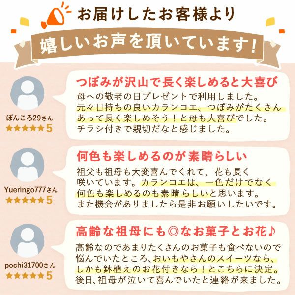 カランコエ5号鉢＆ミニ苺バウムクーヘンセット 敬老の日 プレゼント ギフト 早割 花 花鉢 鉢花 鉢植え 生花 カランコエ バウムクーヘン 送料無料 スイーツ お菓子 洋菓子 メッセージカード おいもや