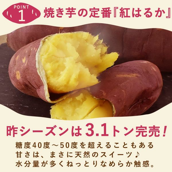 バレンタイン ホワイトデー 2026 予約 義理芋 1本 [チョコ以外 チョコレート以外 焼き芋 焼きいも やきいも スイーツ お菓子 和菓子 本命 義理 友チョコ お返し 女性 彼女 高校生 おしゃれ 可愛い トレンド おすすめ