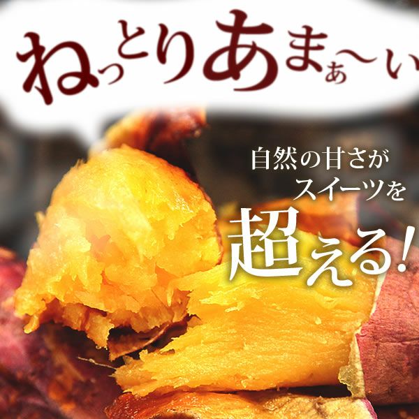 ＼新春2026福袋！／送料無料！焼き芋 スイーツ 福袋 初売り 食品 詰め合わせ 2025年 新春福袋 新年 送料無料 食べ物 国産 グルメ やきいも 焼きいも 焼芋 紅はるか べにはるか シルクスイート 安納芋 さつまいも 大売り 3種 fukubukuro おいもや