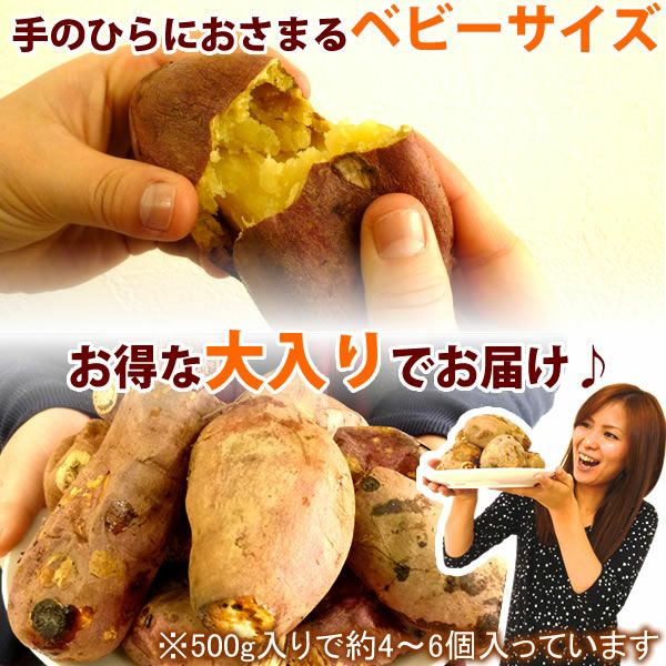 紅はるか（特大） 公式通販】紅はるかの大入り焼き芋 (500g) ベビーサイズ