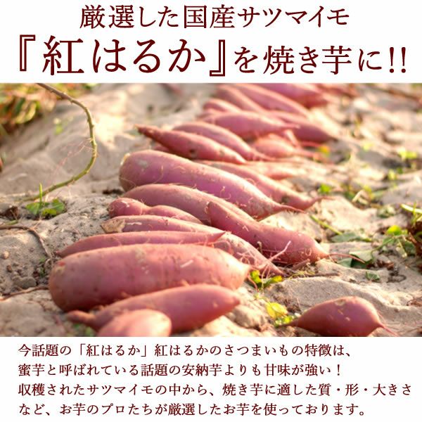 公式通販】紅はるかの大入り焼き芋 (500g) ベビーサイズ