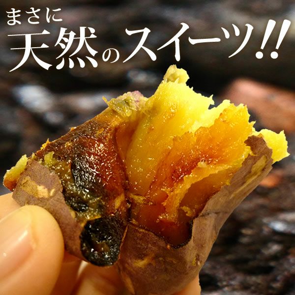 公式通販】紅はるかの大入り焼き芋 (500g) ベビーサイズ 公式通販】紅はるかの大入り焼き芋 (500g) ベビーサイズ
