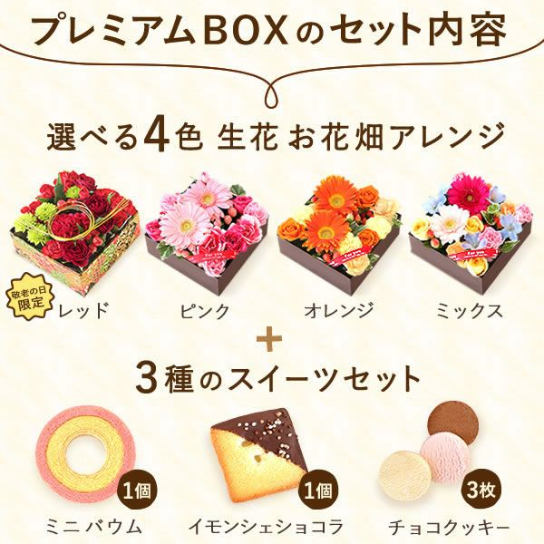 フラワー＆スイーツ　プレミアムボックスセット 母の日 プレゼント 花 生花 ギフト カーネーション ガーベラ フラワーアレンジメント ボックスフラワー フラワーボックス 花とスイーツ おしゃれ 可愛い 送料無料 スイーツ お菓子 洋菓子 ギフトセット おいもや