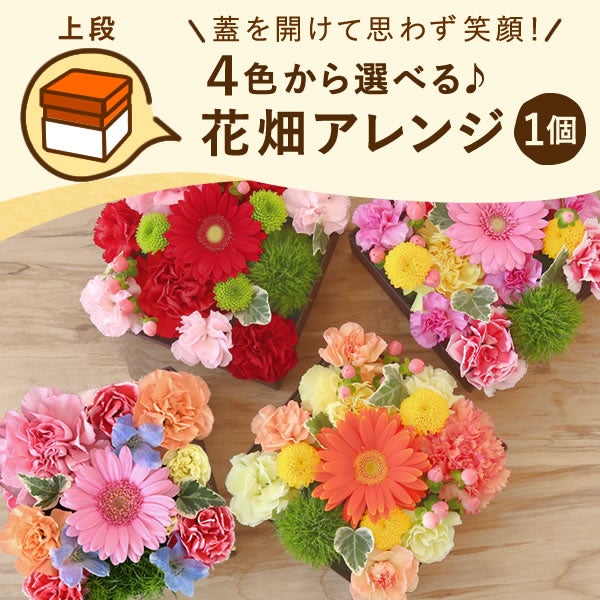 フラワー＆スイーツ　プレミアムボックスセット 母の日 プレゼント 花 生花 ギフト カーネーション ガーベラ フラワーアレンジメント ボックスフラワー フラワーボックス 花とスイーツ おしゃれ 可愛い 送料無料 スイーツ お菓子 洋菓子 ギフトセット おいもや