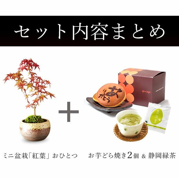 ミニ盆栽（紅葉）＋どら焼き２個セット 敬老の日 プレゼント ギフト 花 盆栽 ミニ 鉢植え 紅葉 もみじ 花鉢 観葉植物 ミニ盆栽 手のひら 苔盆栽 苔 おしゃれ どら焼き 送料無料 スイーツ お菓子 和菓子 メッセージカード おいもや