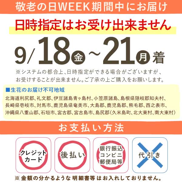 ミニ盆栽（紅葉）＋どら焼き２個セット 敬老の日 プレゼント ギフト 花 盆栽 ミニ 鉢植え 紅葉 もみじ 花鉢 観葉植物 ミニ盆栽 手のひら 苔盆栽 苔 おしゃれ どら焼き 送料無料 スイーツ お菓子 和菓子 メッセージカード おいもや
