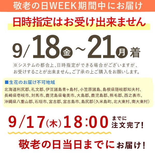 ミニ盆栽（紅葉）＋どら焼き２個セット 敬老の日 プレゼント ギフト 花 盆栽 ミニ 鉢植え 紅葉 もみじ 花鉢 観葉植物 ミニ盆栽 手のひら 苔盆栽 苔 おしゃれ どら焼き 送料無料 スイーツ お菓子 和菓子 メッセージカード おいもや
