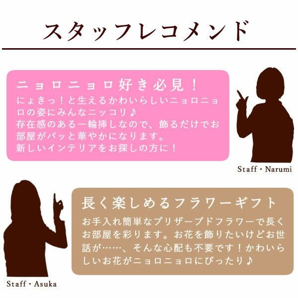 ニョロニョロ1輪挿しプリザ 母の日 プレゼント 花 ギフト プリザ プリザーブドフラワー ムーミン ニョロニョロ アレンジメント アレンジ バラ バウムクーヘン 動物 キャラクター 送料無料 スイーツ お菓子 洋菓子 ギフトセット おいもや