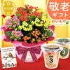 カランコエ5号鉢＆選べるスイーツセット（カステラ・富士山ようかん・あんみつ） 敬老の日 プレゼント ギフト 花 花鉢 鉢花 鉢植え 生花 カランコエ どら焼き バウムクーヘン 干し芋 芋けんぴ カステラ あんみつ 送料無料 スイーツ お菓子 和菓子 洋菓子 メッセージカード おいもや