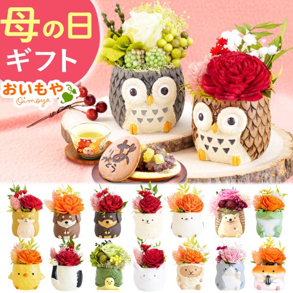 選べるミニポットプリザ＆お芋どら焼き 【母の日 プレゼント 花 ギフト プリザーブドフラワー 犬 犬好き フラワーアレンジメント かわいい おしゃれ ペット バラ 薔薇 一輪 アニマル 動物 ミニ 置き物 送料無料 スイーツ お菓子 和菓子 ギフトセット おいもや】