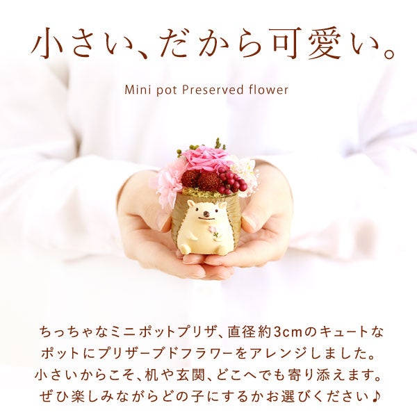 選べるミニポットプリザ＆お芋どら焼き 【母の日 プレゼント 花 ギフト プリザーブドフラワー 犬 犬好き フラワーアレンジメント かわいい おしゃれ ペット バラ 薔薇 一輪 アニマル 動物 ミニ 置き物 送料無料 スイーツ お菓子 和菓子 ギフトセット おいもや】