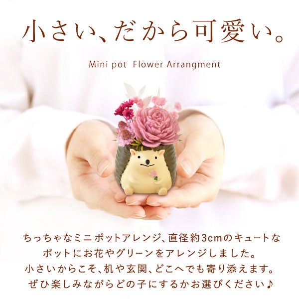 選べるミニポットプリザ＆お芋どら焼き 【母の日 プレゼント 花 ギフト プリザーブドフラワー 犬 犬好き フラワーアレンジメント かわいい おしゃれ ペット バラ 薔薇 一輪 アニマル 動物 ミニ 置き物 送料無料 スイーツ お菓子 和菓子 ギフトセット おいもや】