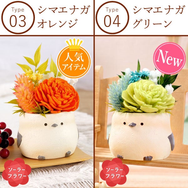 選べるミニポットプリザ＆お芋どら焼き 【母の日 プレゼント 花 ギフト プリザーブドフラワー 犬 犬好き フラワーアレンジメント かわいい おしゃれ ペット バラ 薔薇 一輪 アニマル 動物 ミニ 置き物 送料無料 スイーツ お菓子 和菓子 ギフトセット おいもや】