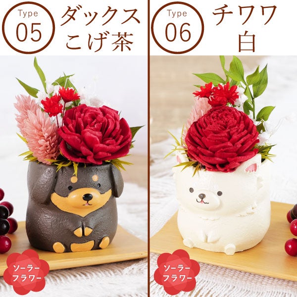 選べるミニポットプリザ＆お芋どら焼き 【母の日 プレゼント 花 ギフト プリザーブドフラワー 犬 犬好き フラワーアレンジメント かわいい おしゃれ ペット バラ 薔薇 一輪 アニマル 動物 ミニ 置き物 送料無料 スイーツ お菓子 和菓子 ギフトセット おいもや】