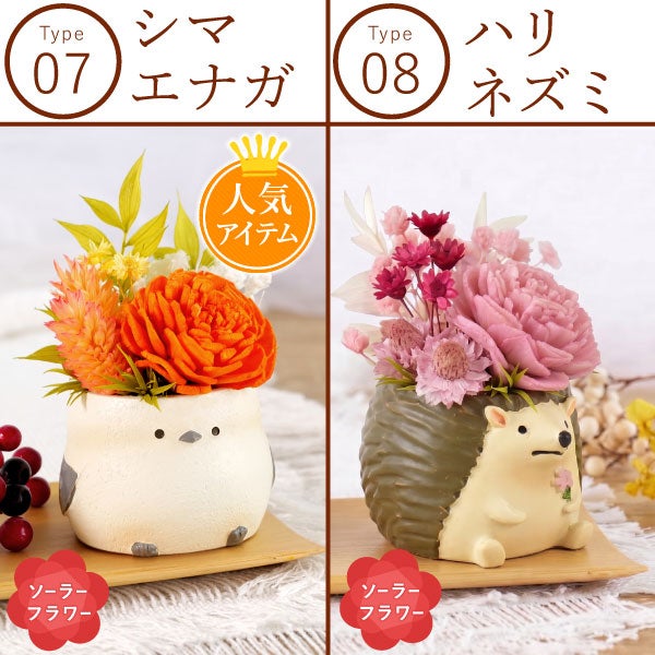 選べるミニポットプリザ＆お芋どら焼き 【母の日 プレゼント 花 ギフト プリザーブドフラワー 犬 犬好き フラワーアレンジメント かわいい おしゃれ ペット バラ 薔薇 一輪 アニマル 動物 ミニ 置き物 送料無料 スイーツ お菓子 和菓子 ギフトセット おいもや】