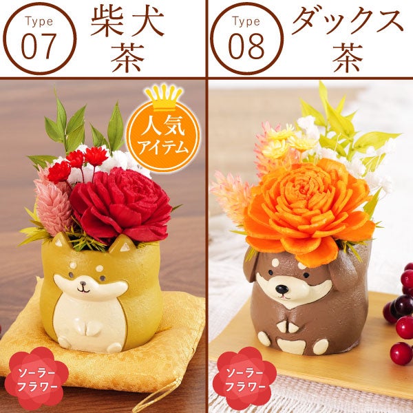 選べるミニポットプリザ＆お芋どら焼き 【母の日 プレゼント 花 ギフト プリザーブドフラワー 犬 犬好き フラワーアレンジメント かわいい おしゃれ ペット バラ 薔薇 一輪 アニマル 動物 ミニ 置き物 送料無料 スイーツ お菓子 和菓子 ギフトセット おいもや】