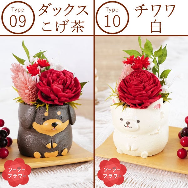 選べるミニポットプリザ＆お芋どら焼き 【母の日 プレゼント 花 ギフト プリザーブドフラワー 犬 犬好き フラワーアレンジメント かわいい おしゃれ ペット バラ 薔薇 一輪 アニマル 動物 ミニ 置き物 送料無料 スイーツ お菓子 和菓子 ギフトセット おいもや】