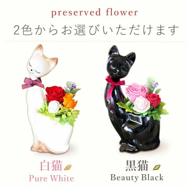 選べる3種！プリザーブドフラワー＆スイーツセット 【母の日 プレゼント 花 ギフト プリザーブドフラワー プリザ 薔薇 バラ ねこ 猫 かわいい おしゃれ 枯れない花 フラワーアレンジメント 送料無料 スイーツ お菓子 洋菓子 ギフトセット おいもや】