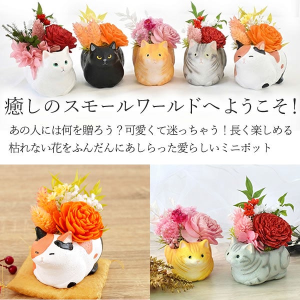 母の日 プレゼント 花 ギフトプリザーブドフラワー フラワーアレンジメント 薔薇 バラ あじさい 猫 ネコ 猫グッズ 猫好き 枯れない花 造花 インテリア 実用的 おしゃれ 可愛い どら焼き 送料無料 スイーツ お菓子 和菓子 ギフトセット おいもや