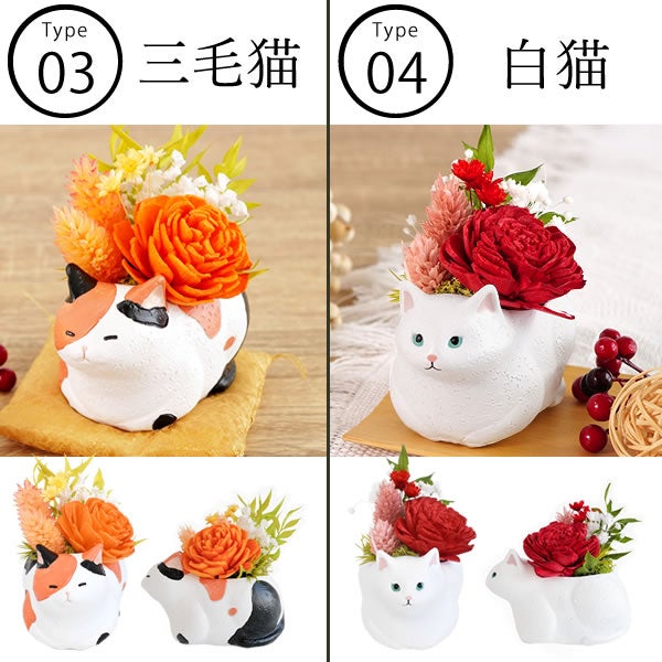 選べるミニ猫ポットプリザ＆お芋どら焼き | おいもや