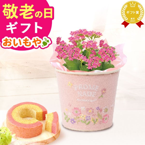 刺繍ブリキ3号カーネ【ピンク】+苺バウム 母の日 プレゼント 花 生花 ギフト 鉢植え 花鉢 お花 カーネーション 猫 ねこ ネコ 猫グッズ 動物 アニマル バウムクーヘン バウム おしゃれ 送料無料 スイーツ お菓子 洋菓子 ギフトセット