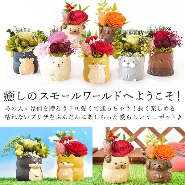 母の日 プレゼント 花 ギフト プリザーブドフラワー 犬 犬好き フラワーアレンジメント かわいい おしゃれ ペット バラ 薔薇 一輪 アニマル 動物 ミニ 置き物 送料無料 スイーツ お菓子 和菓子 ギフトセット おいもや